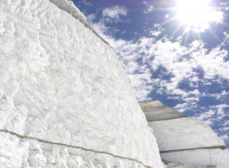 Diatomaceous Earth (DE) U.S. Silica